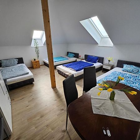 Wohngemeinschaft- Einzelne Zimmer Dresda Esterno foto