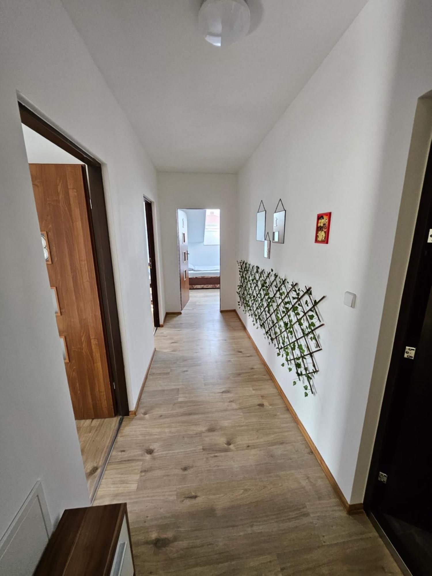 Wohngemeinschaft- Einzelne Zimmer Dresda Esterno foto